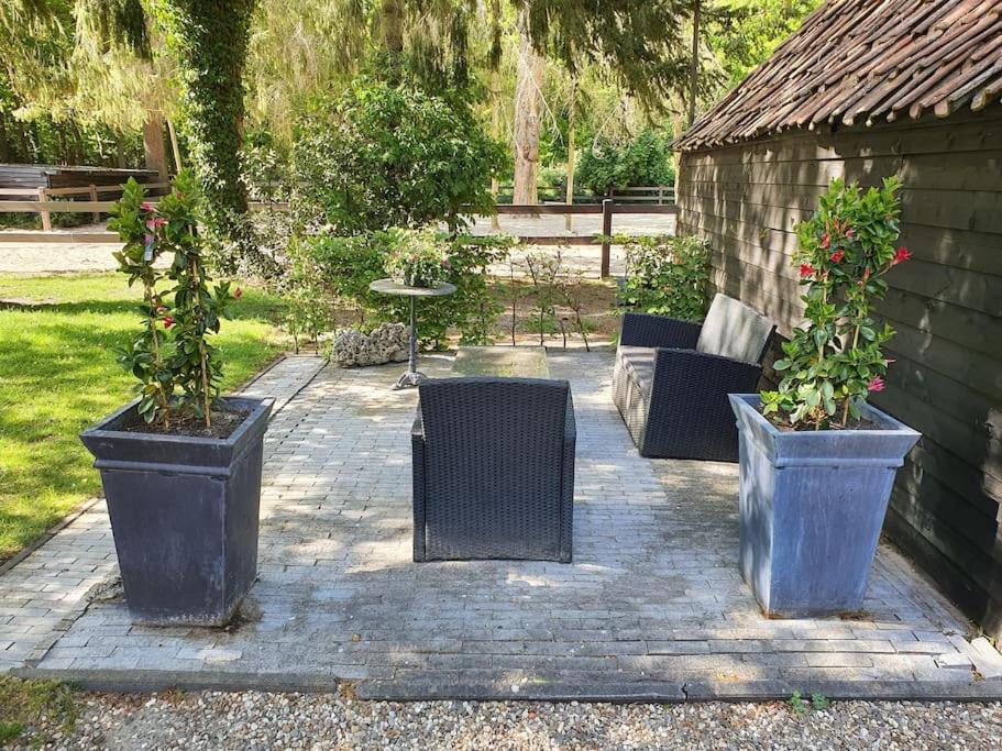 Midden In De Friese Bossen Op Landgoed Princenhof Oranjewoud Exterior foto