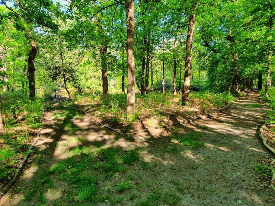 Midden In De Friese Bossen Op Landgoed Princenhof Oranjewoud Exterior foto