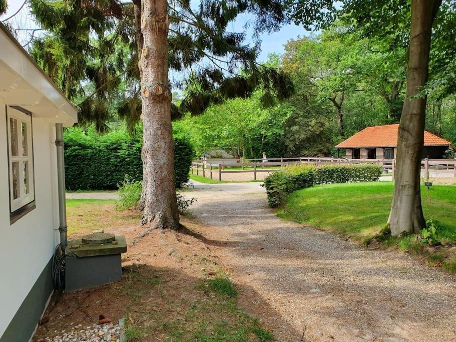 Midden In De Friese Bossen Op Landgoed Princenhof Oranjewoud Exterior foto