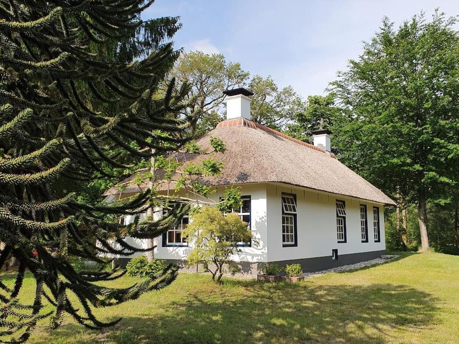 Midden In De Friese Bossen Op Landgoed Princenhof Oranjewoud Exterior foto