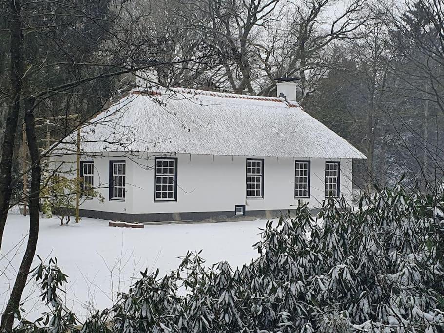 Midden In De Friese Bossen Op Landgoed Princenhof Oranjewoud Exterior foto