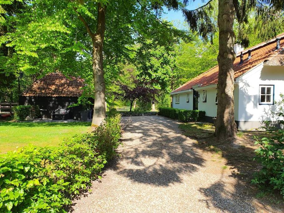 Midden In De Friese Bossen Op Landgoed Princenhof Oranjewoud Exterior foto