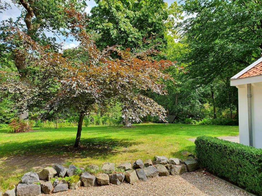 Midden In De Friese Bossen Op Landgoed Princenhof Oranjewoud Exterior foto